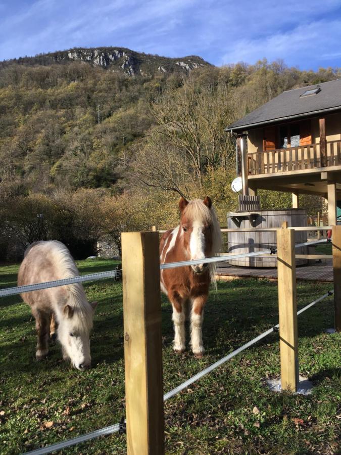 Les Marmottes Pour 12 Avec Bain Nordique Privatif Villa Camous Exterior photo